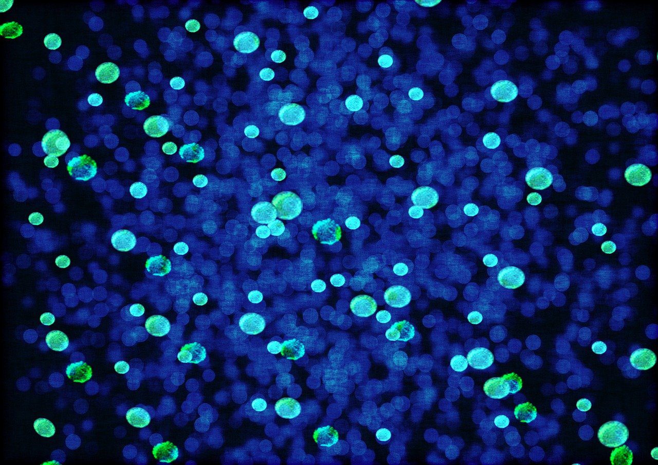 Gut Bacteria: The Unseen Culprit Behind Colorectal Cancer?
