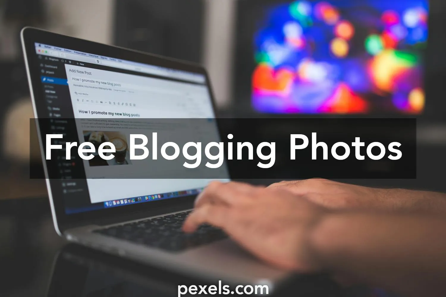 Unbox Your Blogging Journey: Top WordPress Themes for the Novice Blogger