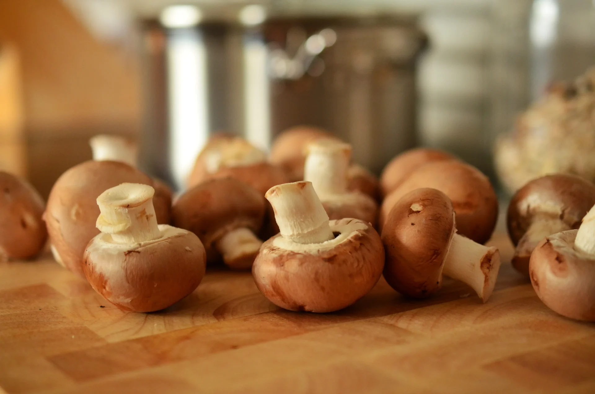 Uncover Nature’s Elixir: The Remarkable Health Benefits of Turkey Tail Mushrooms